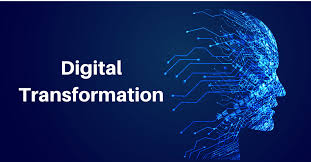 Digital Transformation & Agile Management: Accelerating Innovation